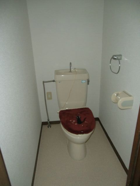 Toilet. Toilet