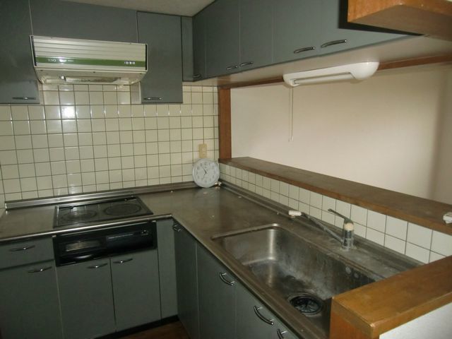 Kitchen. L-shaped kitchen