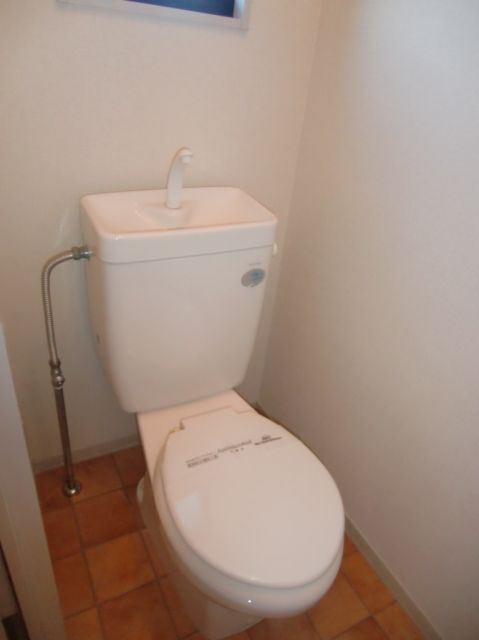 Toilet. Western-style toilet