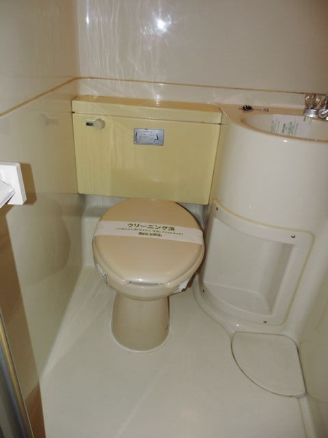 Toilet. Western-style toilet