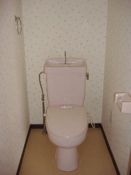 Toilet. WC