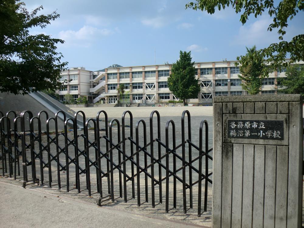 Primary school. Unuma 800m until the first elementary school