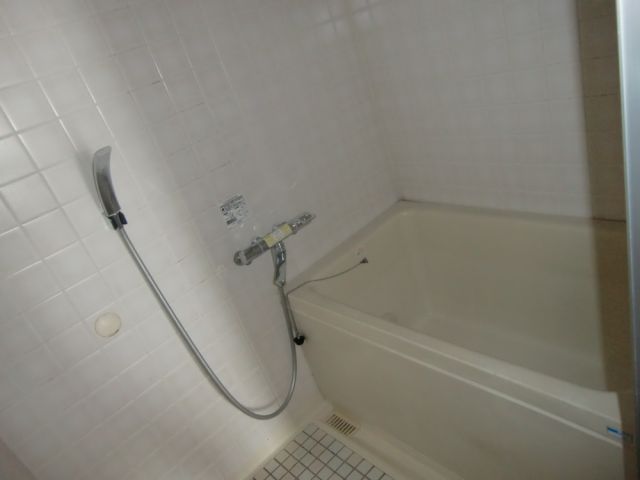 Bath. Spacious bathroom
