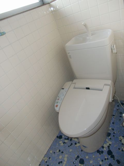 Toilet. Bathroom with a shower