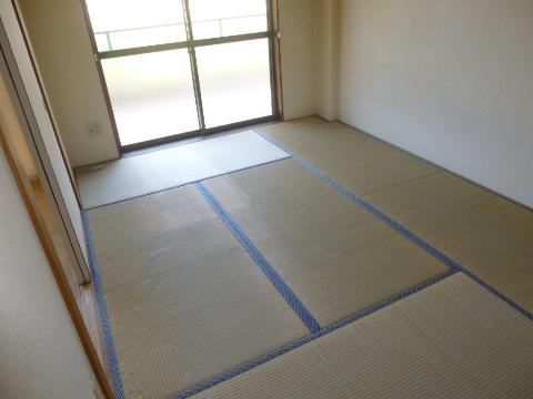 Living and room. Japanese style room