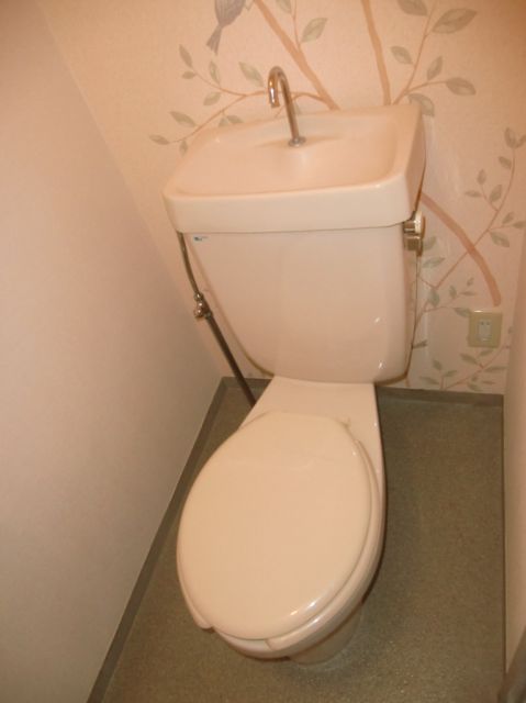 Toilet. Western-style toilet