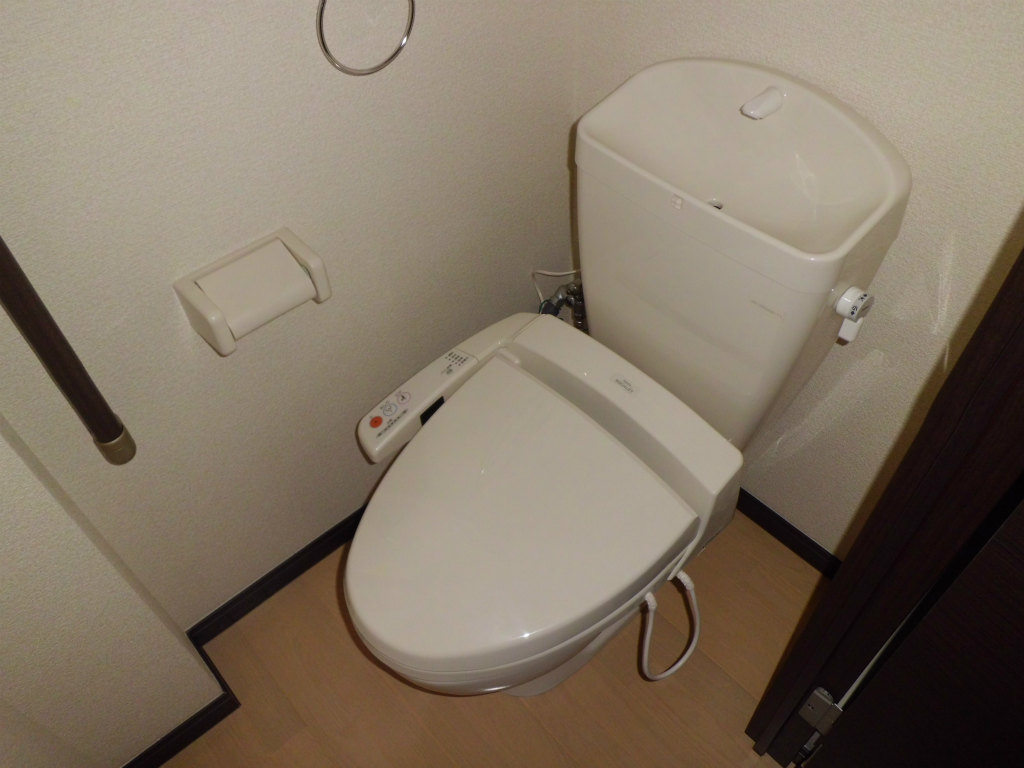 Toilet. Washlet toilet