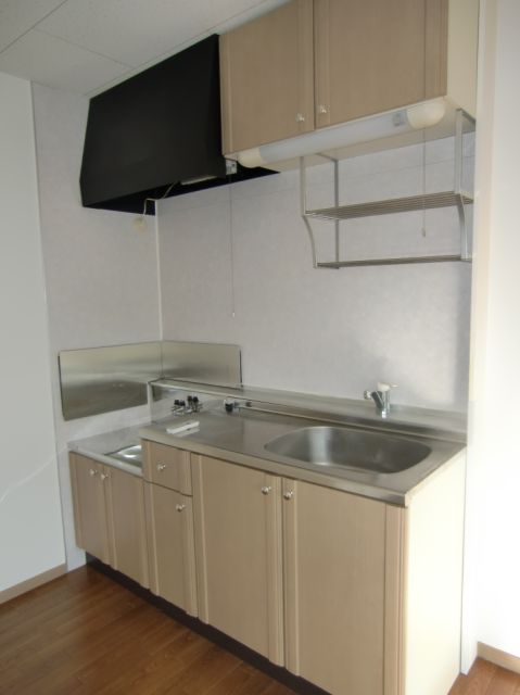 Kitchen. Two-burner gas stove can be installed