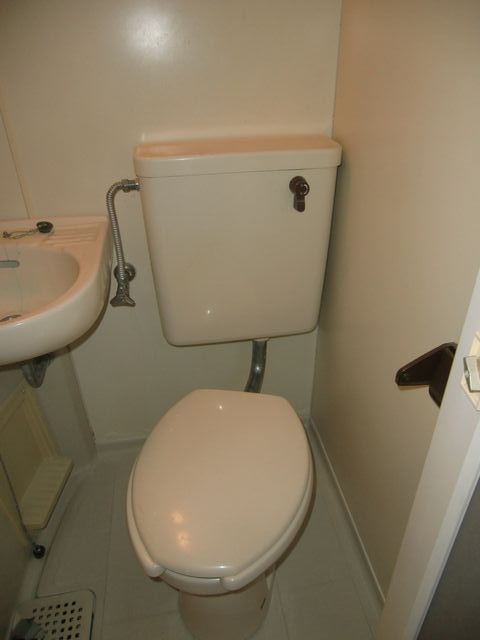 Toilet. Western-style toilet