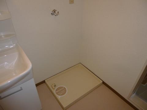 Other room space. Laundry Area