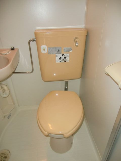 Toilet. Western-style toilet