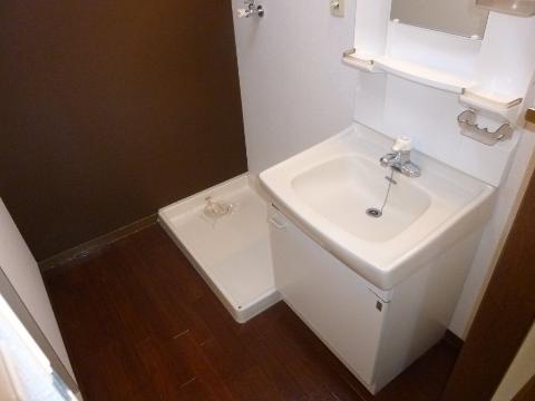 Washroom. Bathroom vanity