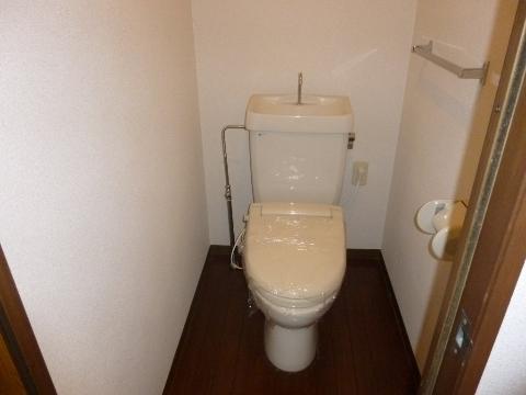 Toilet. WC