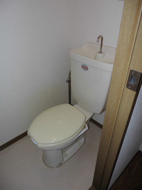 Toilet. Western-style toilet