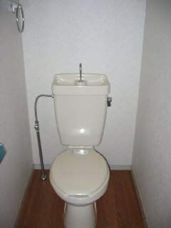 Toilet. Western-style toilet