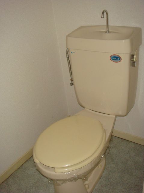 Toilet. Western-style toilet. 