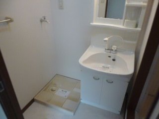 Washroom. Bathroom vanity