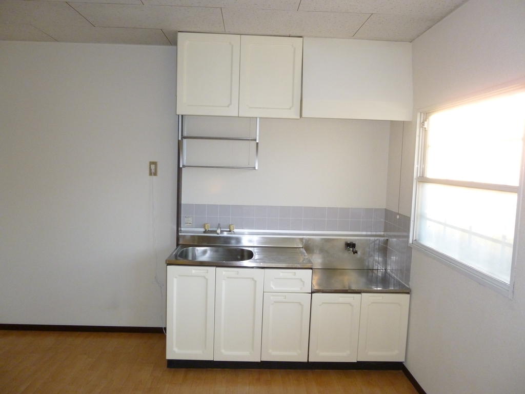 Kitchen. White is a very stylish sink