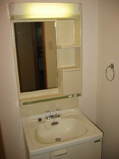 Washroom. Bathroom vanity