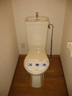 Toilet. Western-style toilet