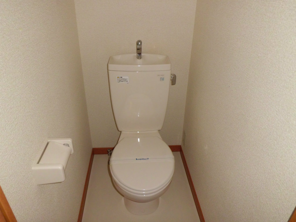 Toilet. Western-style flush toilets