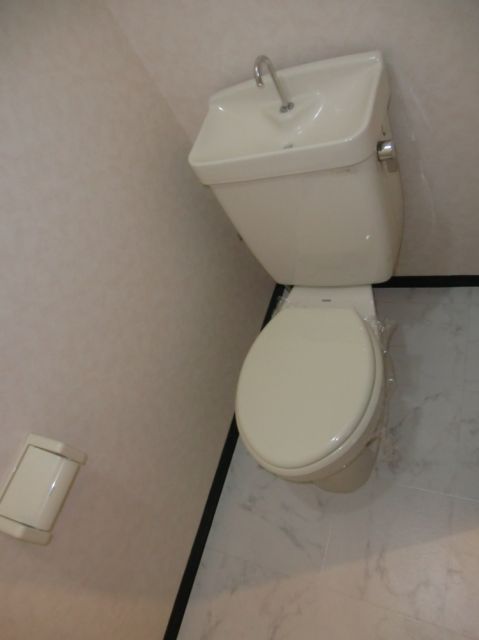 Toilet. Toilet