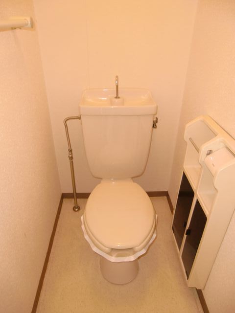 Toilet. Also housed under the paper holder