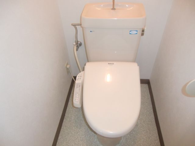 Toilet. Of warm water washing toilet seat Western-style toilet