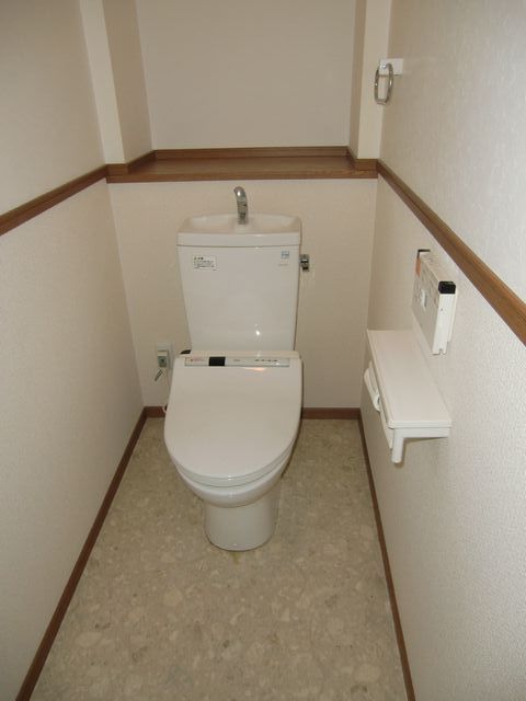 Toilet. Shower with Western-style toilet