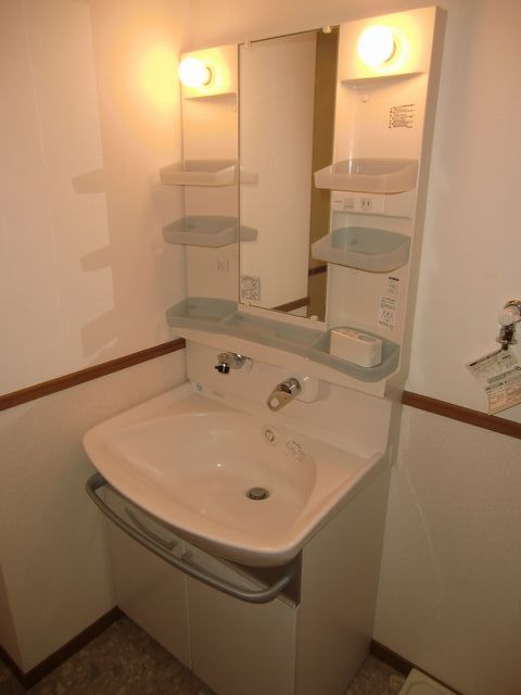 Washroom. Bathroom Vanity