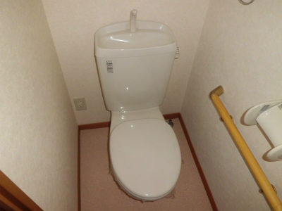 Toilet. Handrails in the toilet ・  ・  ・ 