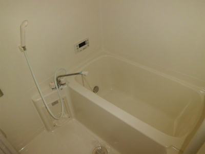 Bath. Bathroom with additional heating. 