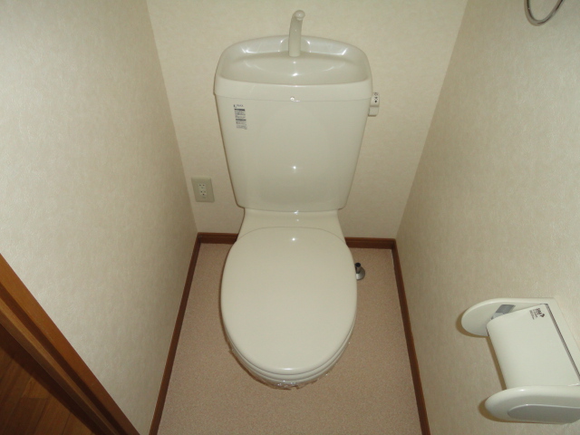 Toilet. Western-style toilet. 