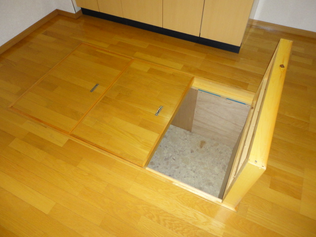 Other room space. This large under-floor storage is available! ! 