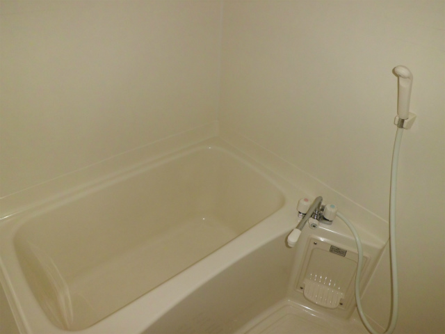 Bath. White inorganic bathroom. 
