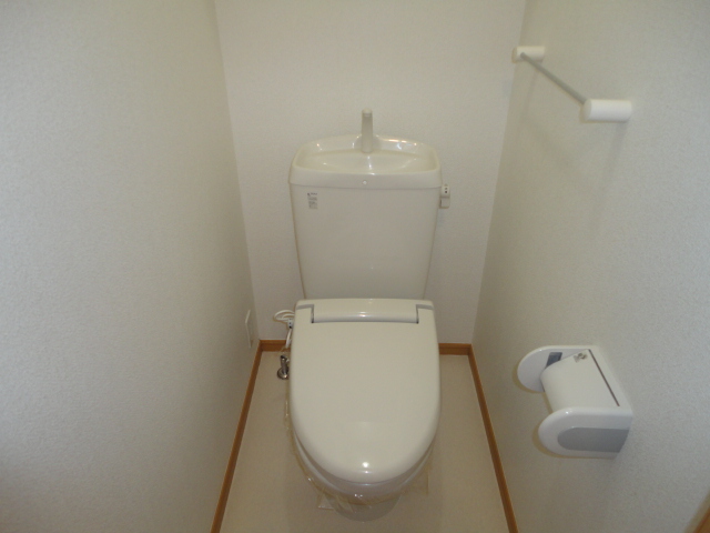 Toilet. Clean Western-style toilet. 