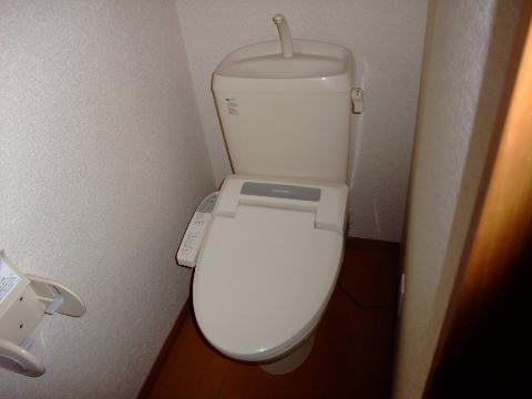 Toilet. Toilet with shower