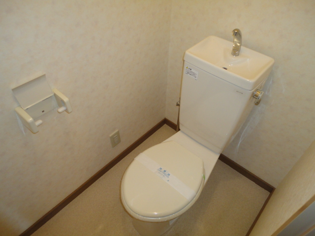 Toilet. It is simple and clean