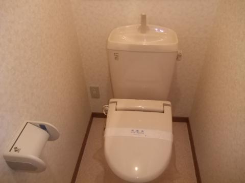 Toilet. WC