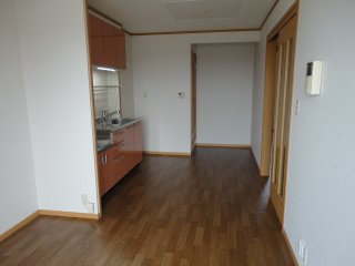 Living and room. Flooring