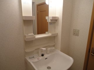 Washroom. Washbasin with shower