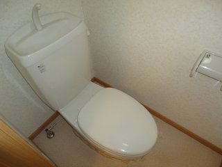 Toilet. Simple and clean toilet