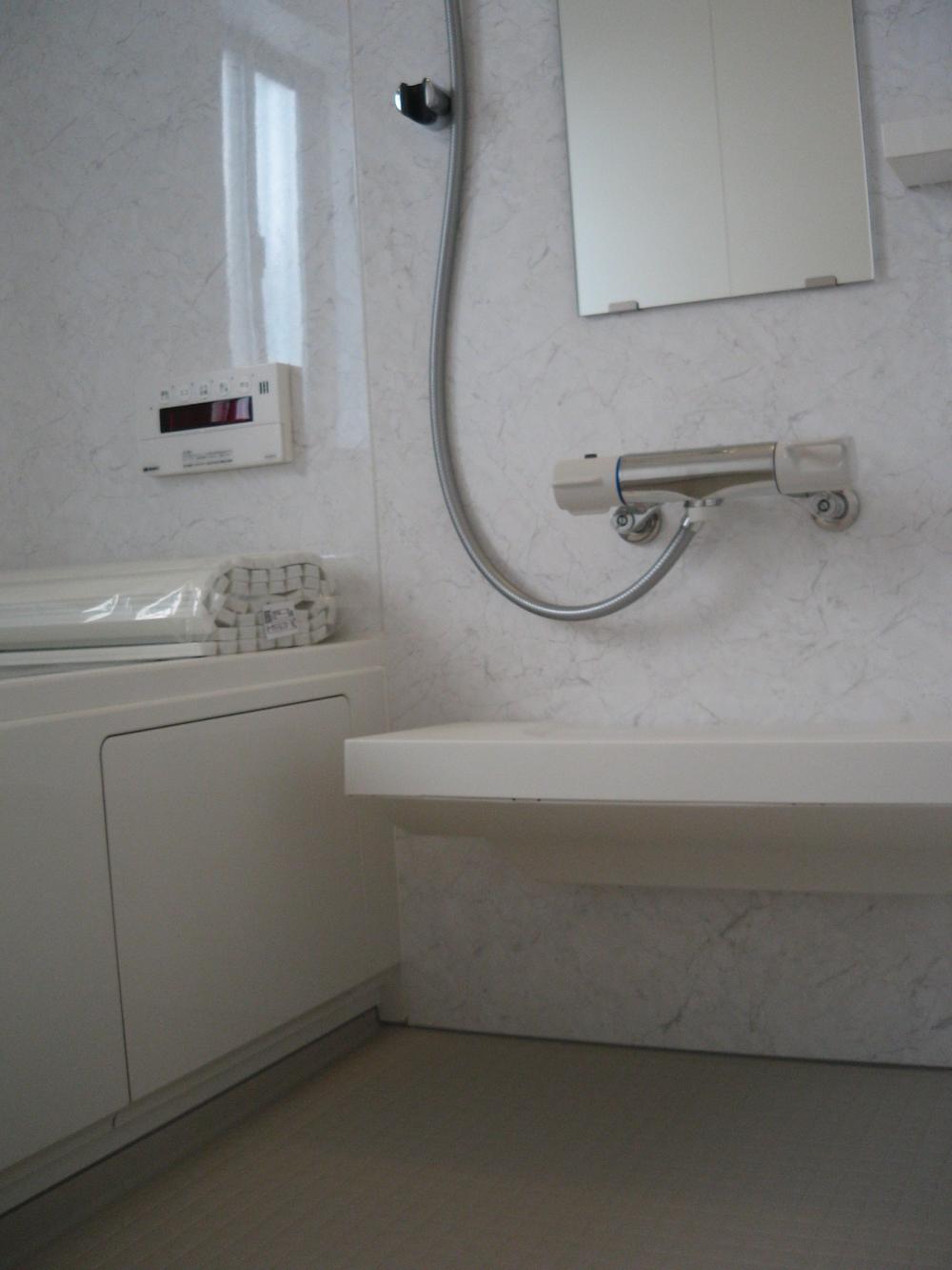 Bathroom. Indoor (10 May 2013) Shooting