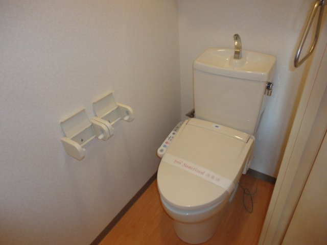 Toilet. Toilet with shower. 