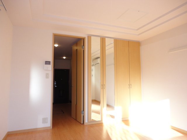 Living and room. Full-length mirror is attached to the closet door. 