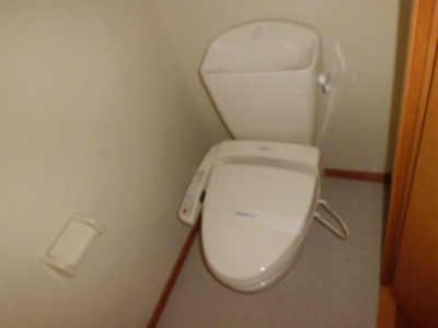 Toilet. Bidet with a toilet seat