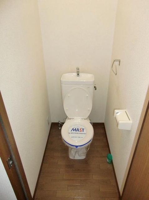 Toilet. Western-style toilet