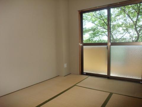 Living and room. Japanese style room