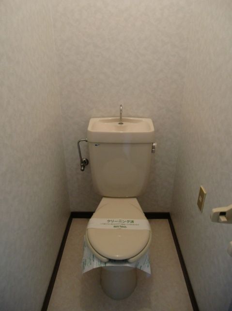 Toilet. Toilet