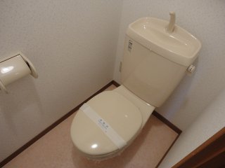Toilet. Beautiful Western-style toilet. 